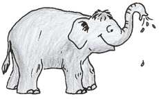 Elefant.jpg